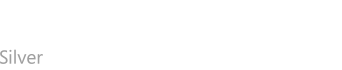 Microsoft Partner - Silver Application Development